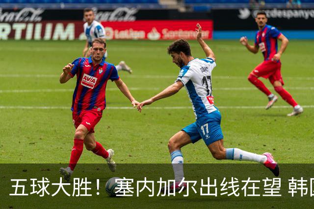 五球大胜！塞内加尔出线在望 韩国晋级仅剩理论希望