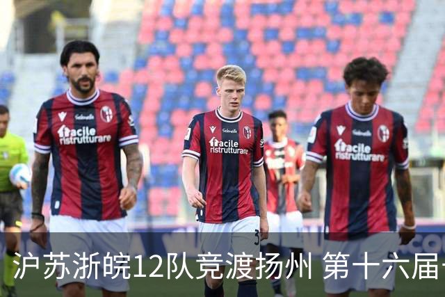 沪苏浙皖12队竞渡扬州 第十六届长三角龙舟赛擂鼓开桨