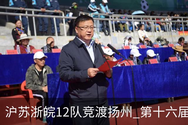 沪苏浙皖12队竞渡扬州 第十六届长三角龙舟赛擂鼓开桨