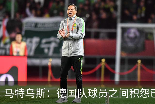马特乌斯：德国队球员之间积怨已久 一些人的家人可以享受特权